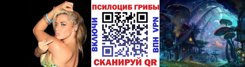 Псилоцибиновые грибы Psilocybe  цены   Ак-Довурак 